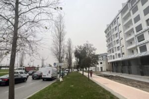 Glorious garden - 4 Glorious garden - 4